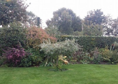 tidy-garden-trim-bushes-thornton