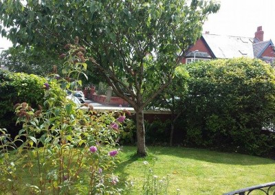 tree-garden-care-blackpool-lancashire