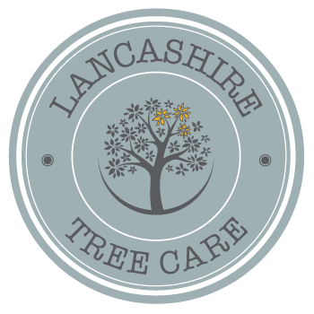 Lancashire Tree Care