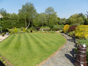 large garden project - Singleton