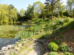 large garden project - Singleton
