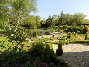 large garden project - Singleton