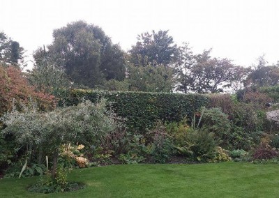 hedge-trimming-blackpool