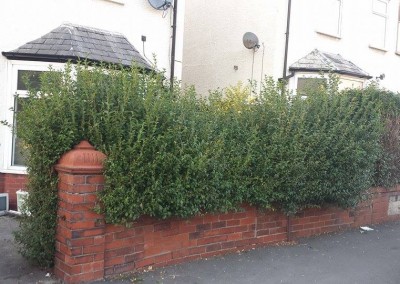 overgrown-hedges-need-trimming-blackpool