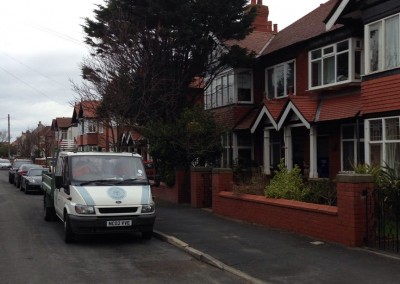 tree-removal-service