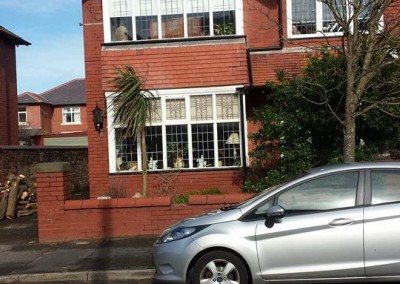 tree-removed-safely