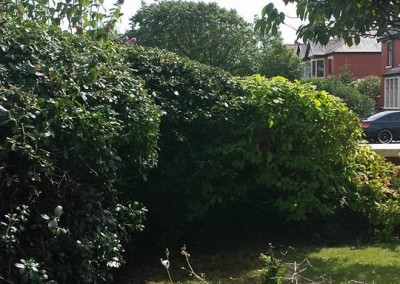 trim-bushes-cleveleys-blackpool