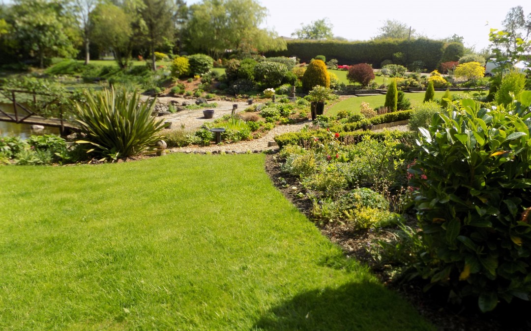 Large Garden Project – Singleton