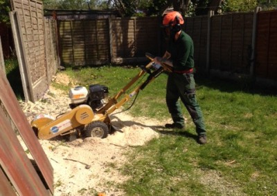 Tree Stump Grinding Service